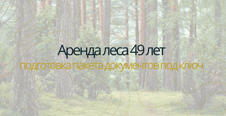 Аренда леса на 49 лет в Ломоносове