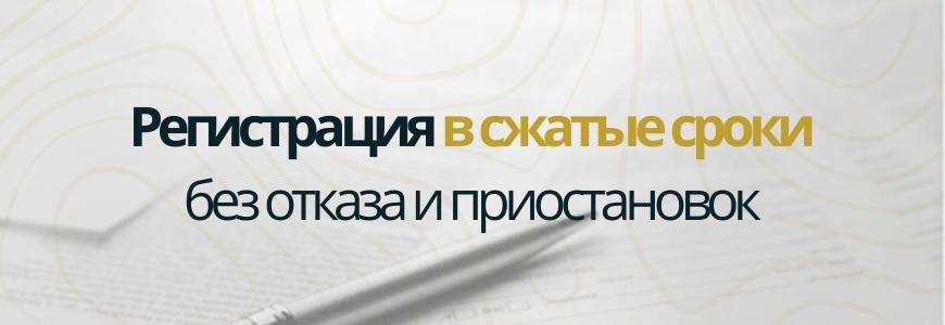 Регистрация в сжатые сроки Регистрация в сжатые сроки под ключ в деревне Телези